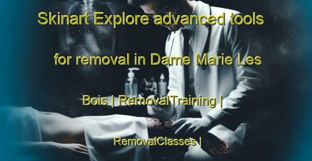 Skinart Explore advanced tools for removal in Dame Marie Les Bois | RemovalTraining | RemovalClasses | SkinartTraining-France